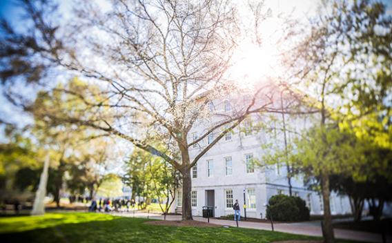 A tree on the Emory campus quad.