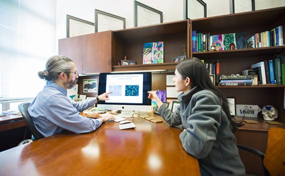 Advisor and student motioning towards a computer screen.