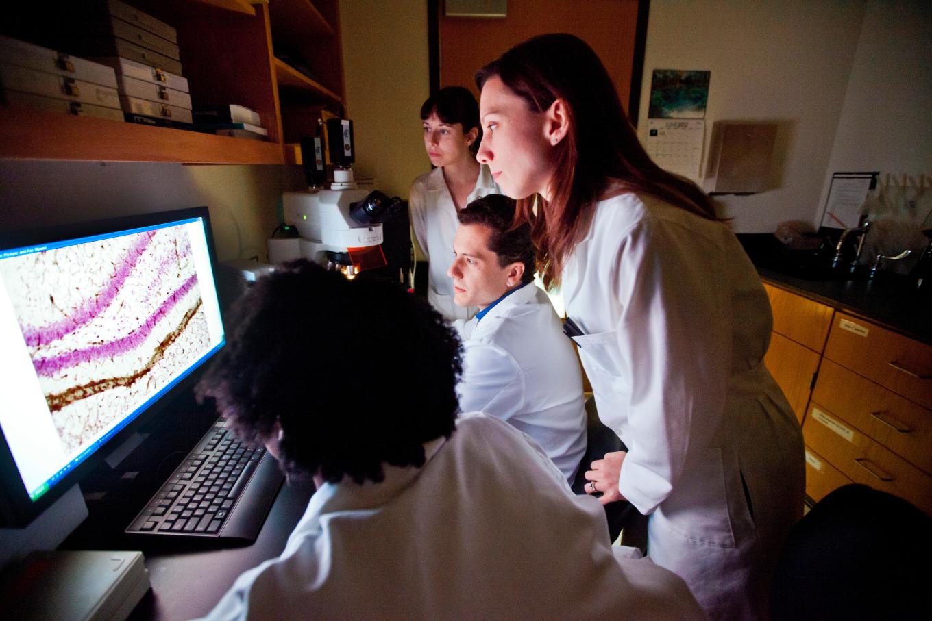 Four lab technicians illuminated by a computer monitor.